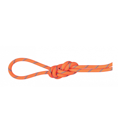 Climbing Rope Mammut 7.5 Alpine Sender Dry Standard 50m Winter 2024