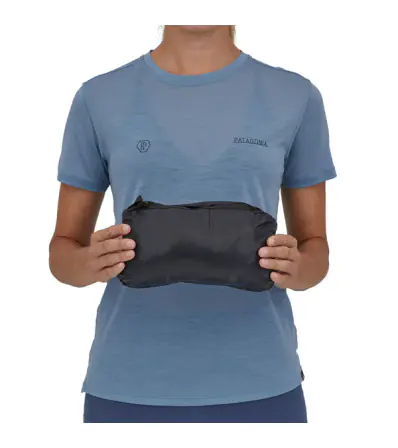 Patagonia Micro Puff Hoody W's